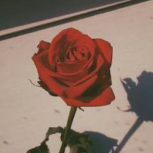 Meet your Posher, First name